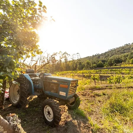 Quinta Da Fonte -