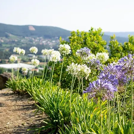 Bauernhof Quinta Da Fonte - *