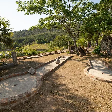 Quinta Da Fonte - * Barroselas