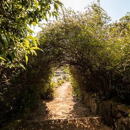 Farmház Quinta Da Fonte - Barroselas