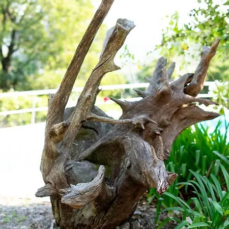 Bauernhof Quinta Da Fonte - Barroselas
