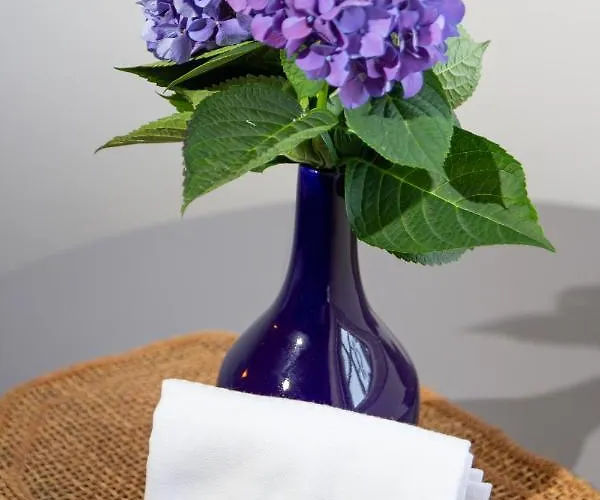 Farmház Quinta Da Fonte - *