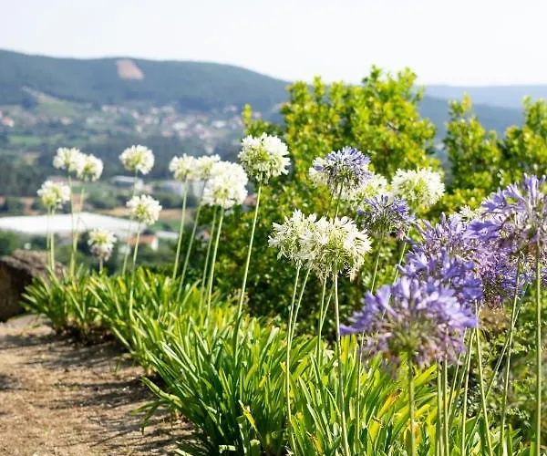 Alojamento de Turismo Rural Quinta Da Fonte - *