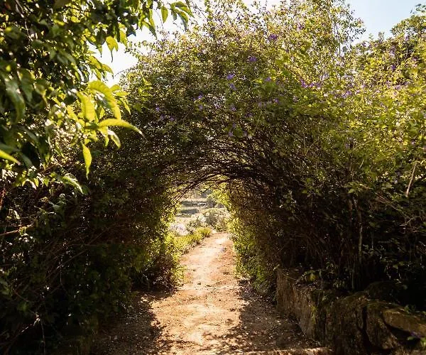Alojamento de Turismo Rural Quinta Da Fonte - Barroselas