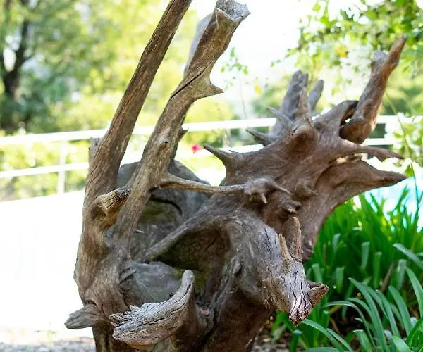 Alojamento de Turismo Rural Quinta Da Fonte - Barroselas