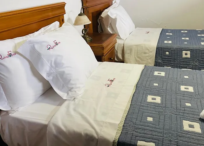 Alojamento de Turismo Rural Quinta Da Fonte - *